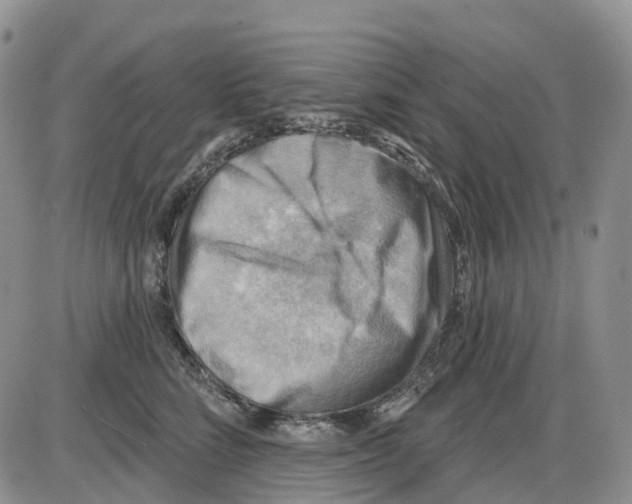 X0000086000712200704201831