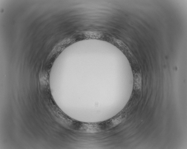 X0000086000713200704201831