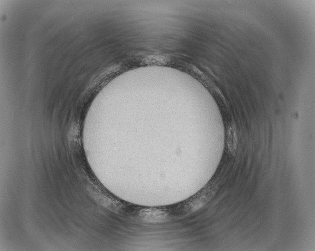 X0000086000714200704201831