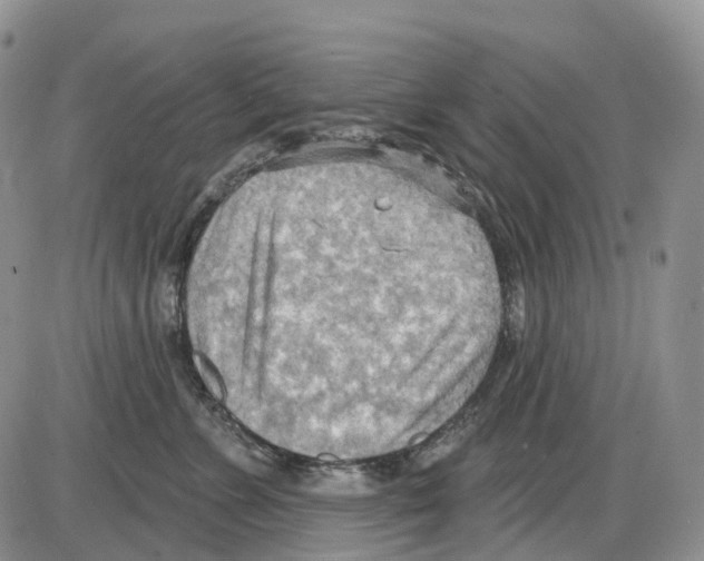 X0000086000715200704201831