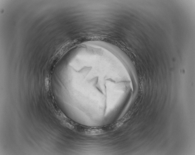 X0000086000716200704201831