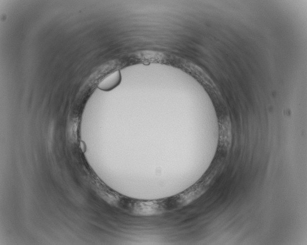 X0000086000717200704201831