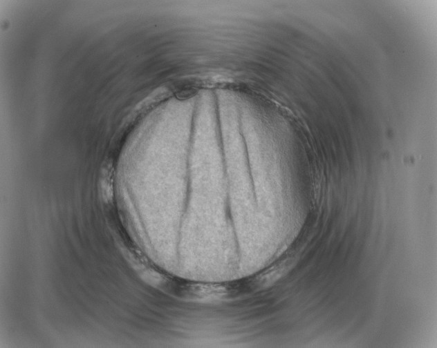 X0000086000719200704201831