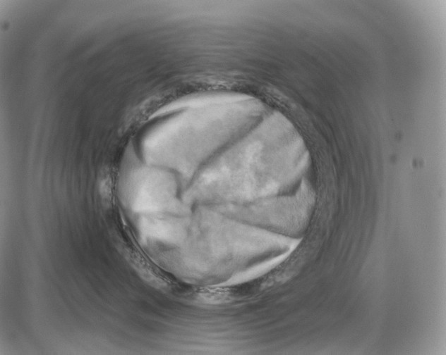 X0000086000720200704201831