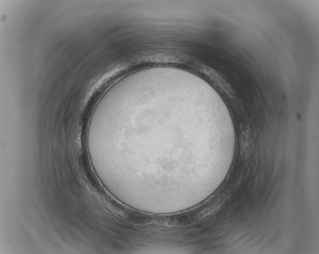 X0000086000727200704201830