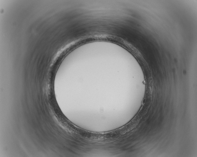 X0000086000728200704201830