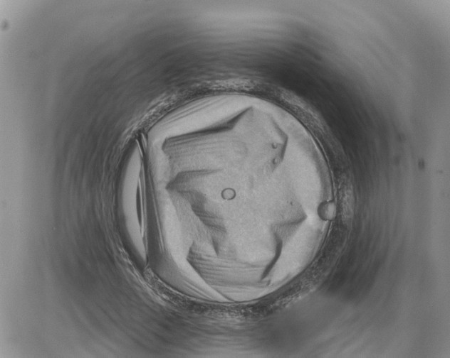 X0000086000729200704201831