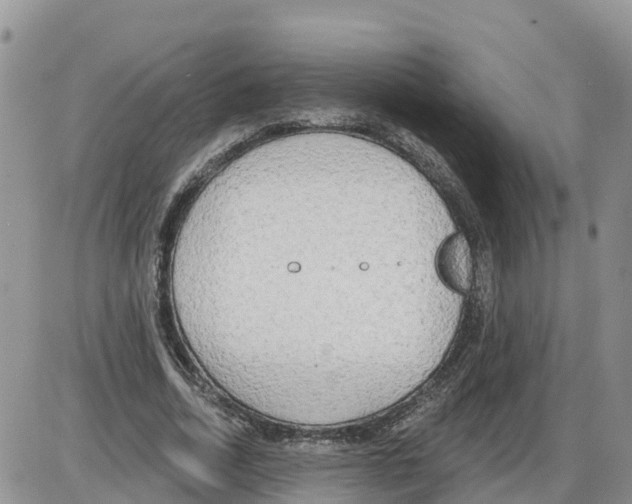 X0000086000730200704201831