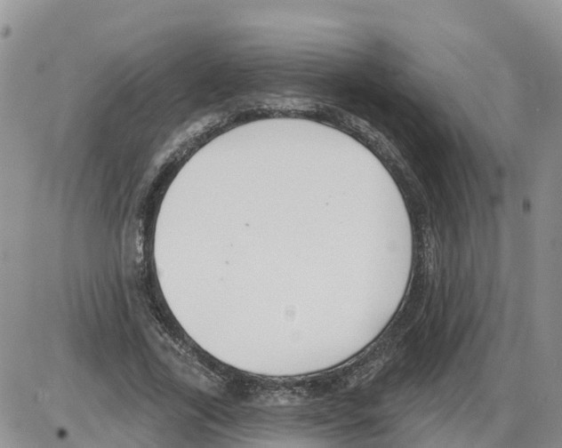 X0000086000731200704201831