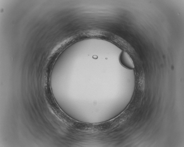 X0000086000732200704201831