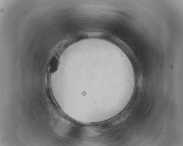 X0000086000733200704201831