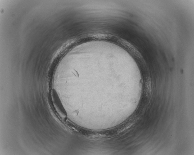 X0000086000734200704201831