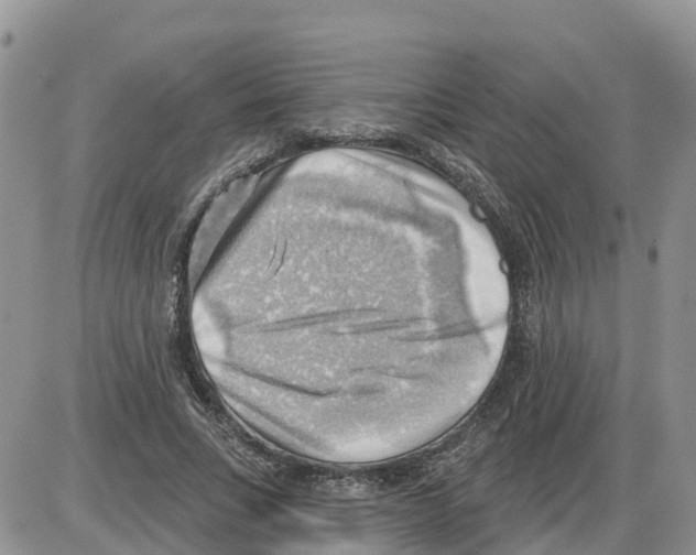 X0000086000735200704201831