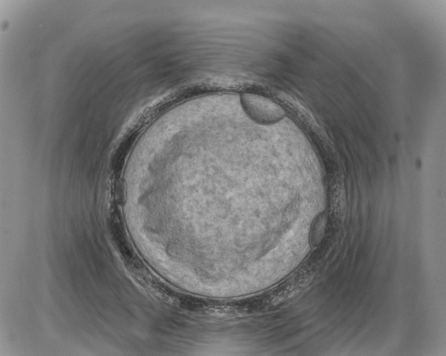 X0000086000736200704201831