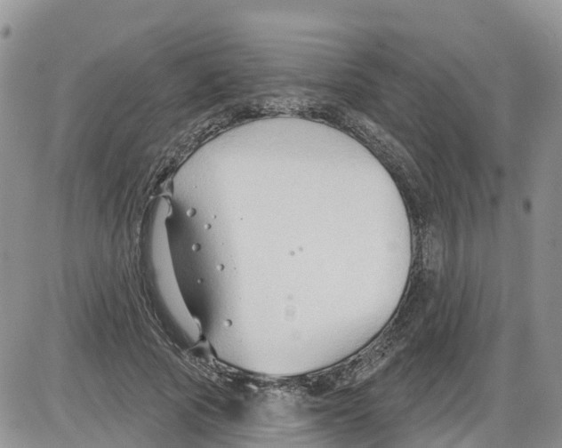 X0000086000737200704201831