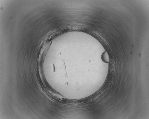 X0000086000738200704201831