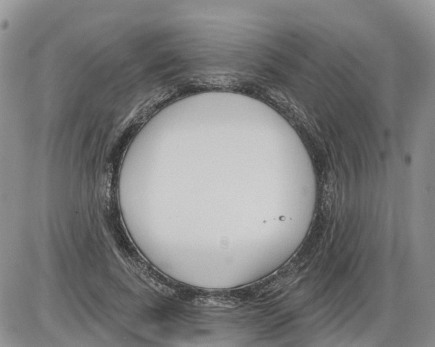 X0000086000739200704201831