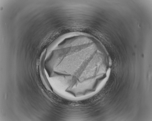 X0000086000742200704201831