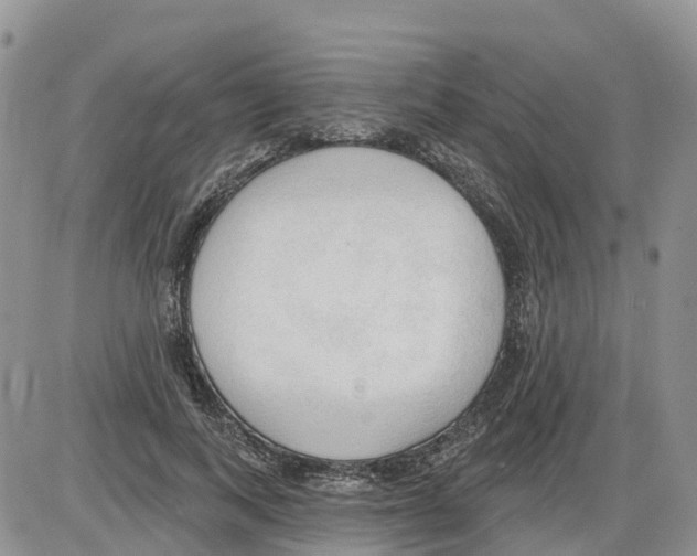 X0000086000743200704201831