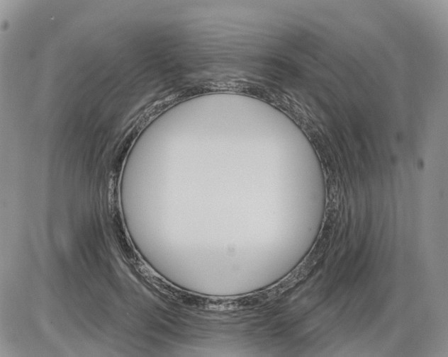 X0000086000744200704201831