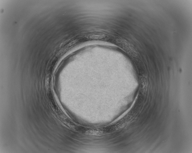 X0000086000745200704201831