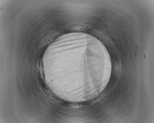 X0000086000746200704201831