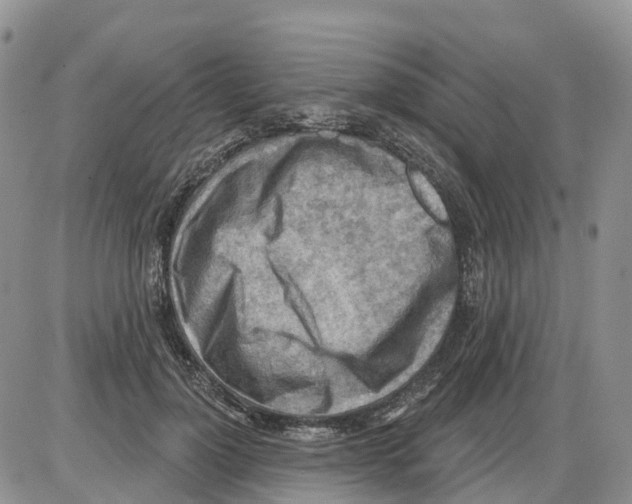 X0000086000748200704201831