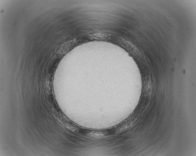 X0000086000749200704201831