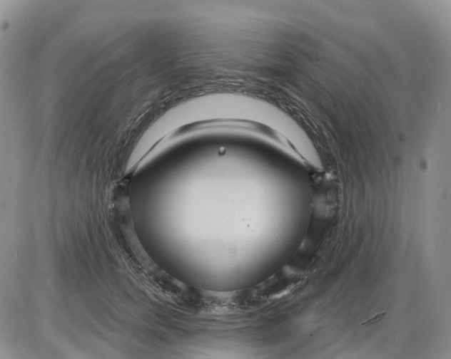 X0000086000750200704201831