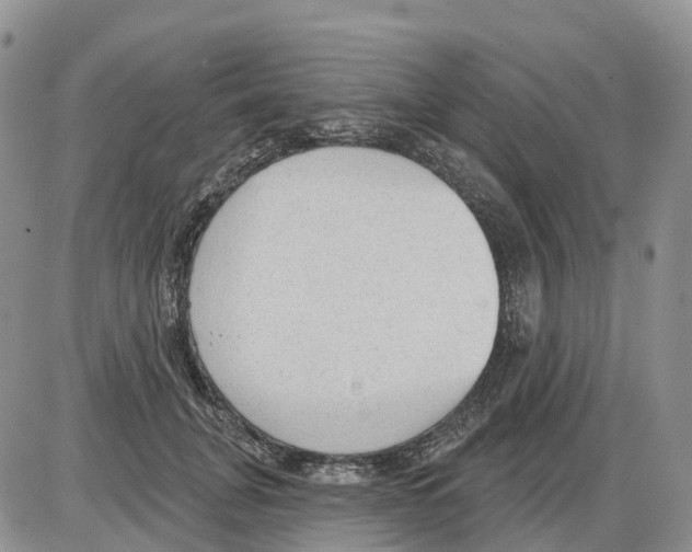 X0000086000751200704201831