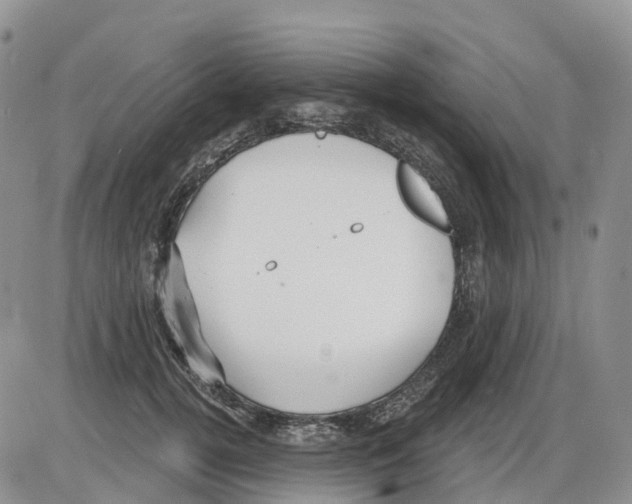 X0000086000752200704201831