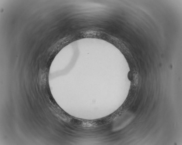 X0000086000753200704201831