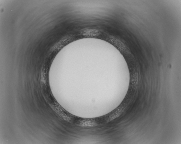 X0000086000755200704201831