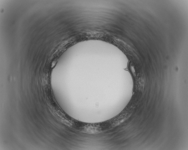 X0000086000756200704201831