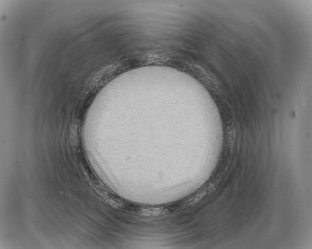 X0000086000757200704201831