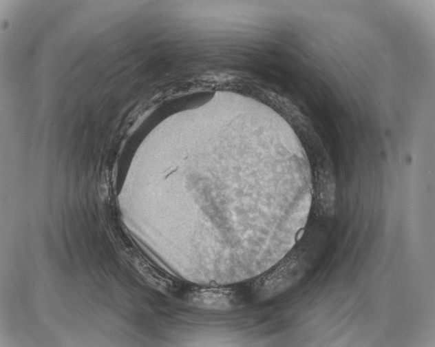 X0000086000758200704201831