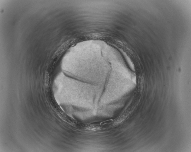 X0000086000760200704201831