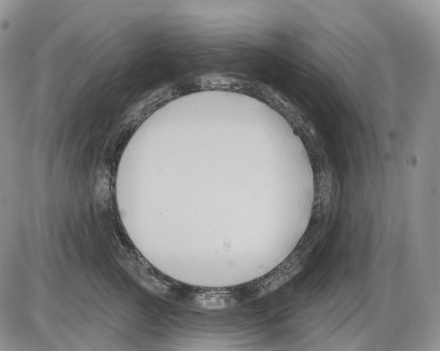 X0000086000761200704201831