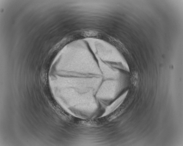 X0000086000763200704201831