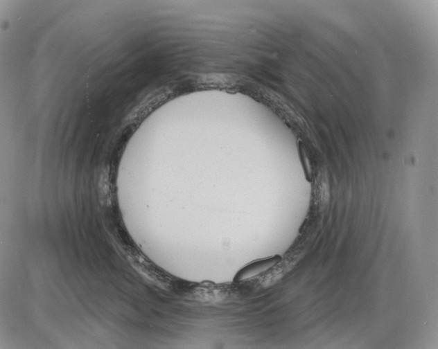 X0000086000764200704201831