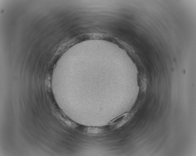 X0000086000766200704201831