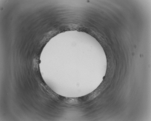 X0000086000768200704201831