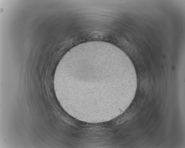 X0000086000769200704201830