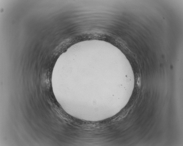 X0000086000771200704201830