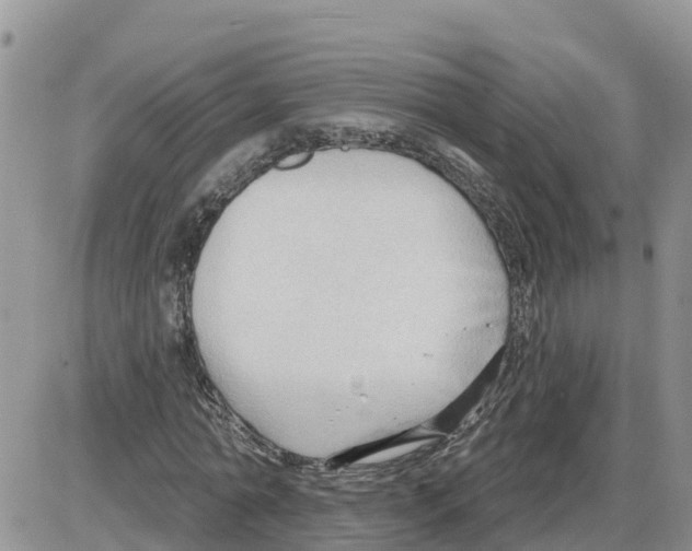 X0000086000774200704201830