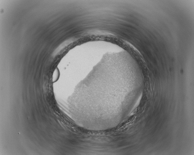 X0000086000775200704201830