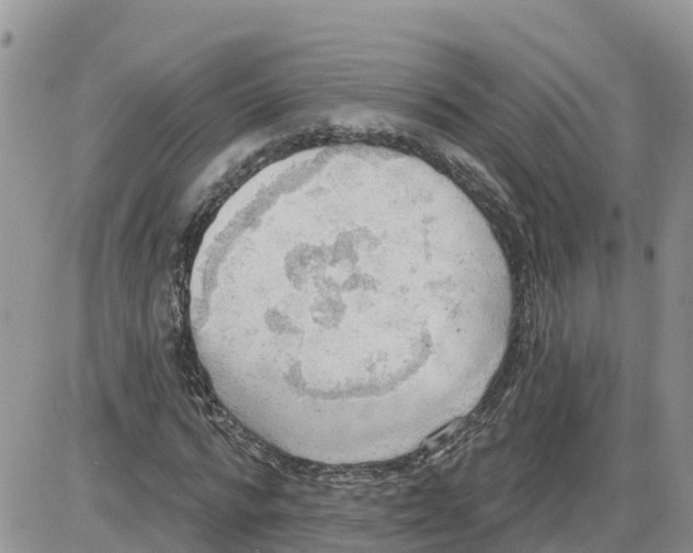 X0000086000776200704201830