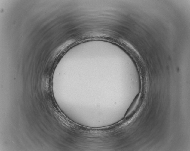 X0000086000777200704201830