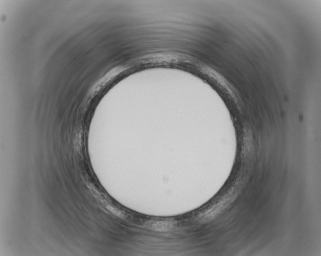 X0000086000778200704201830