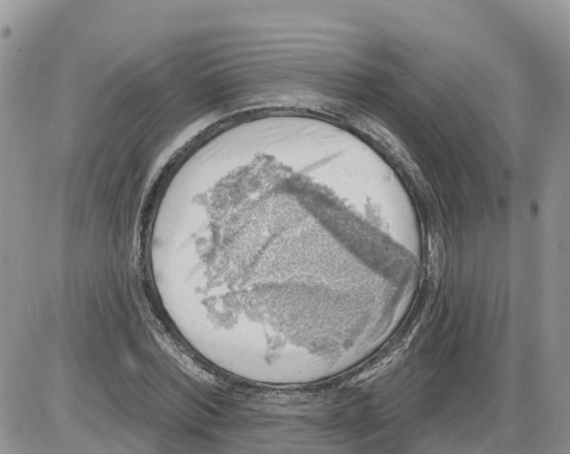 X0000086000780200704201830